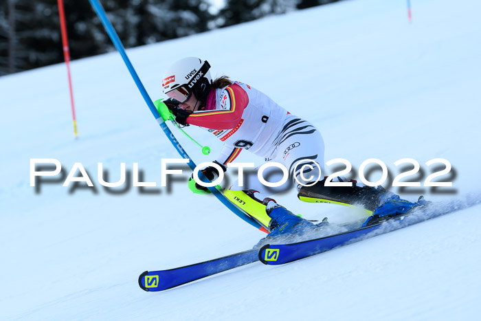FIS AC NJC Damen + Herren Super-G