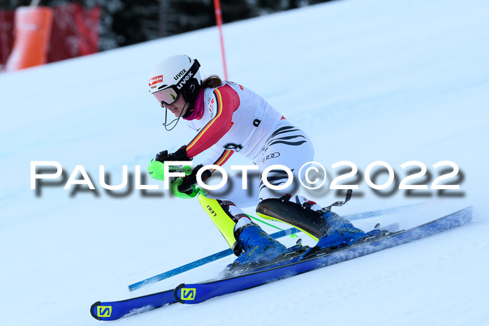 FIS AC NJC Damen + Herren Super-G