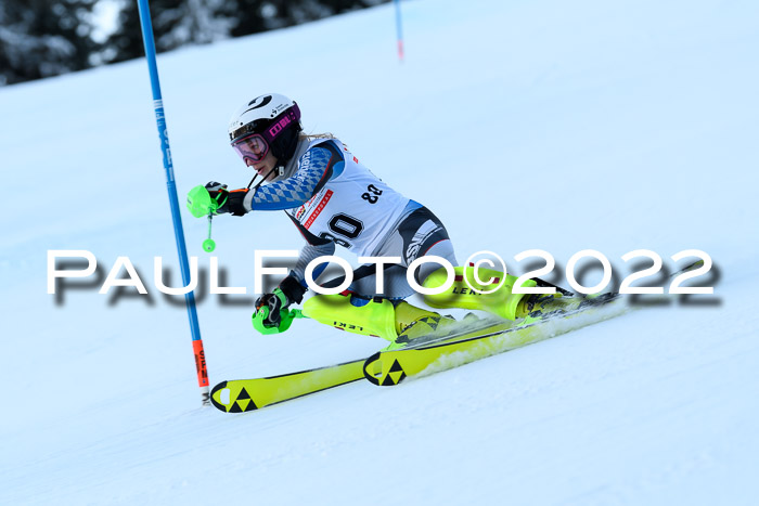 FIS AC NJC Damen + Herren Super-G