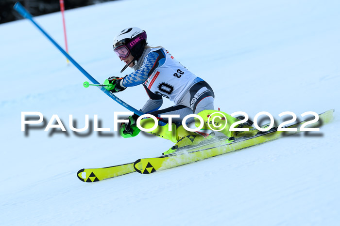 FIS AC NJC Damen + Herren Super-G