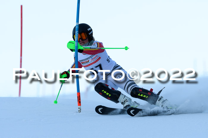 FIS AC NJC Damen + Herren Super-G