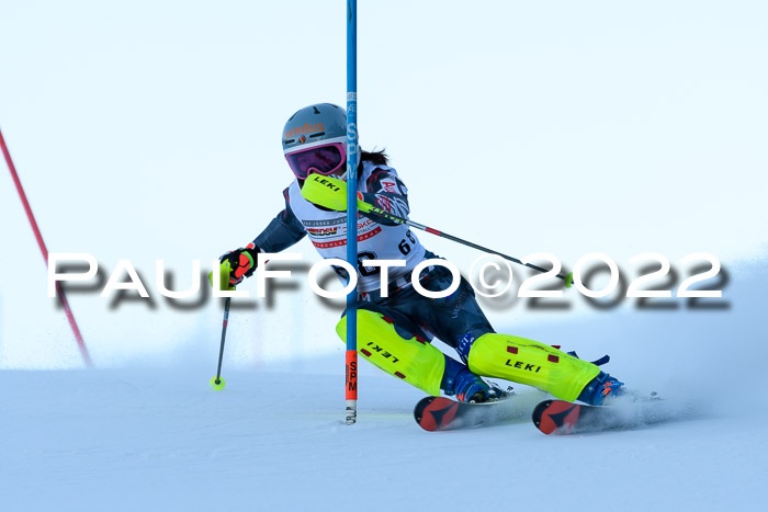 FIS AC NJC Damen + Herren Super-G