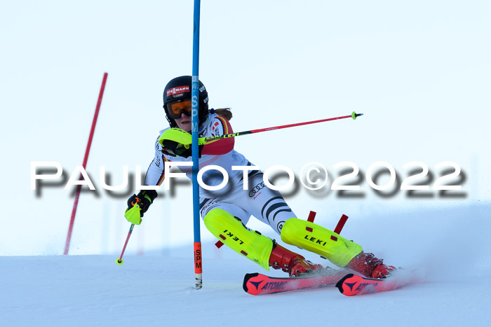 FIS AC NJC Damen + Herren Super-G