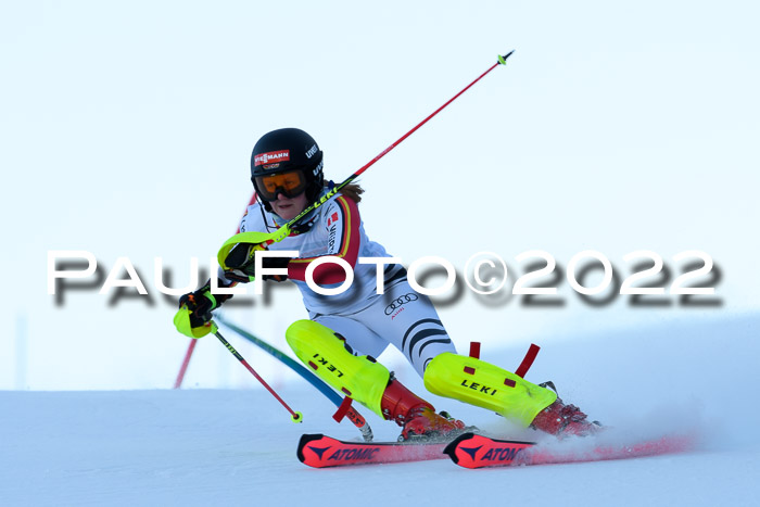 FIS AC NJC Damen + Herren Super-G