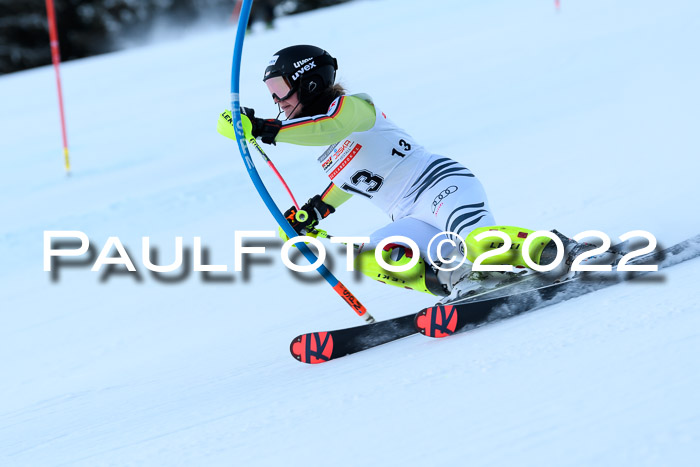 FIS AC NJC Damen + Herren Super-G