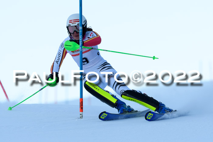 FIS AC NJC Damen + Herren Super-G