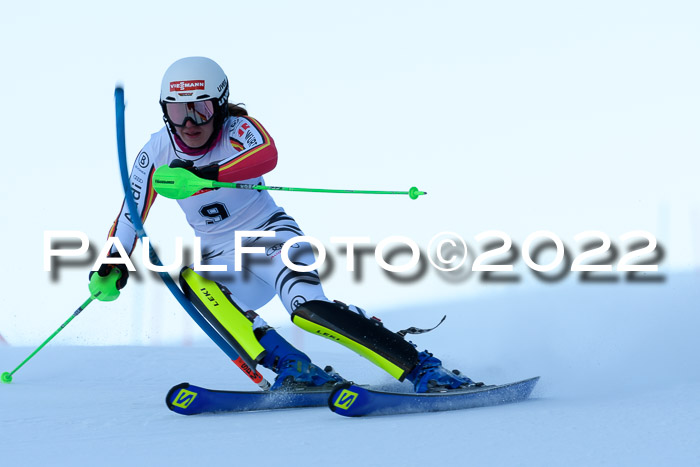 FIS AC NJC Damen + Herren Super-G