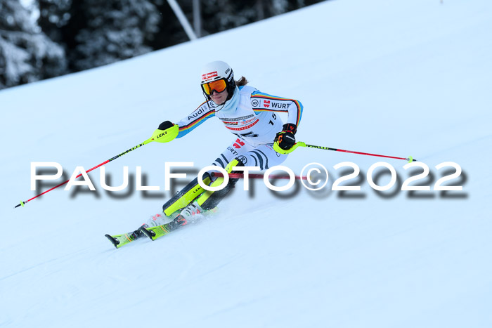 FIS AC NJC Damen + Herren Super-G