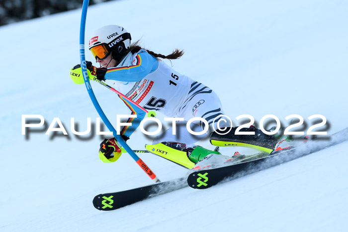 FIS AC NJC Damen + Herren Super-G
