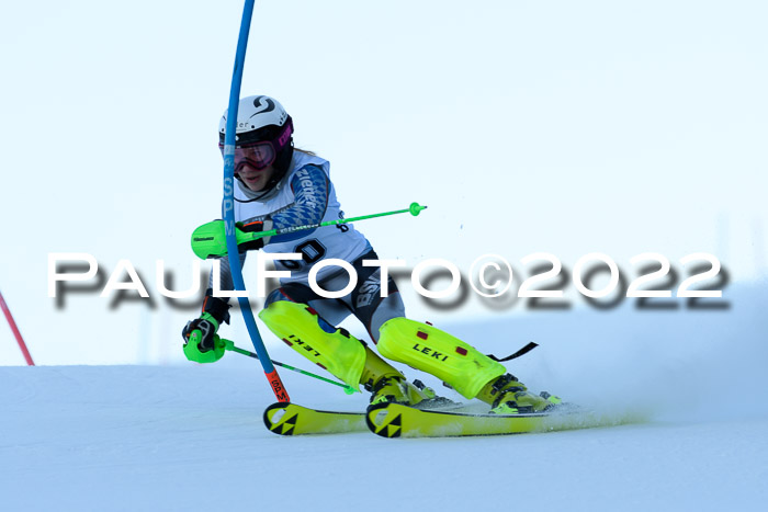 FIS AC NJC Damen + Herren Super-G