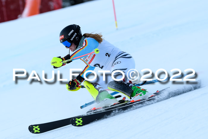 FIS AC NJC Damen + Herren Super-G