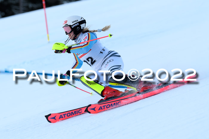 FIS AC NJC Damen + Herren Super-G