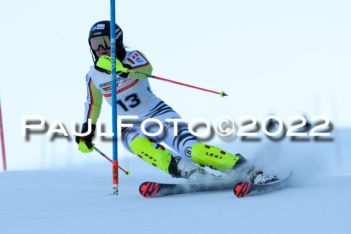 FIS AC NJC Damen + Herren Super-G