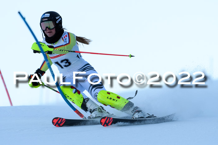 FIS AC NJC Damen + Herren Super-G