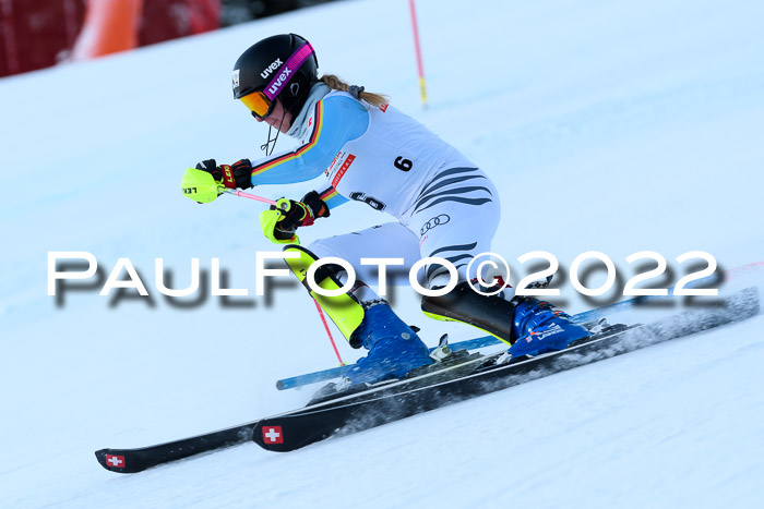 FIS AC NJC Damen + Herren Super-G