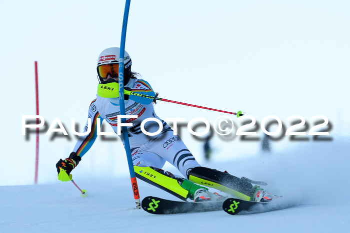 FIS AC NJC Damen + Herren Super-G