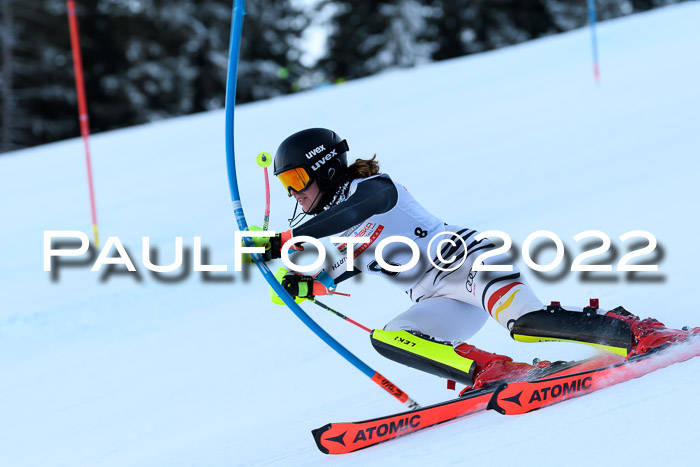 FIS AC NJC Damen + Herren Super-G