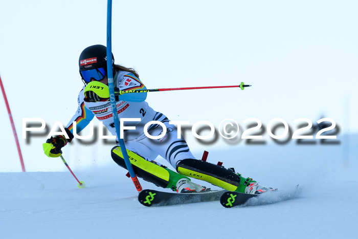 FIS AC NJC Damen + Herren Super-G