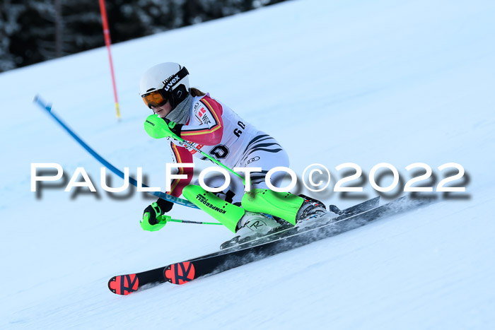 FIS AC NJC Damen + Herren Super-G