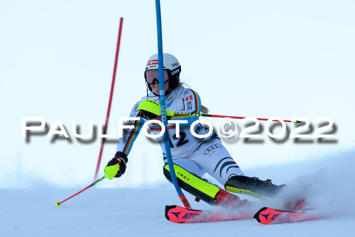 FIS AC NJC Damen + Herren Super-G