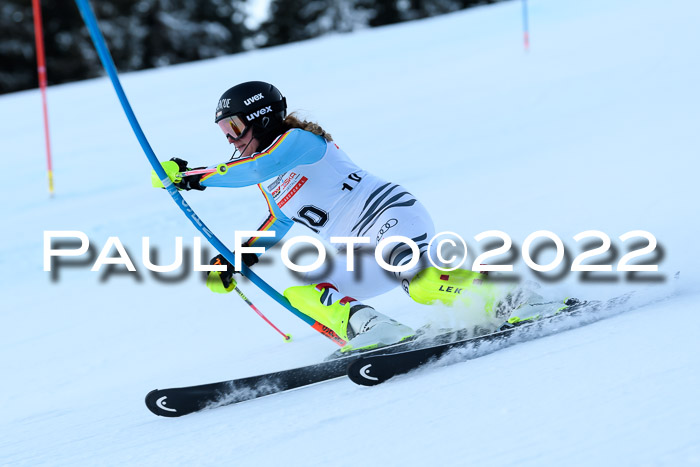 FIS AC NJC Damen + Herren Super-G