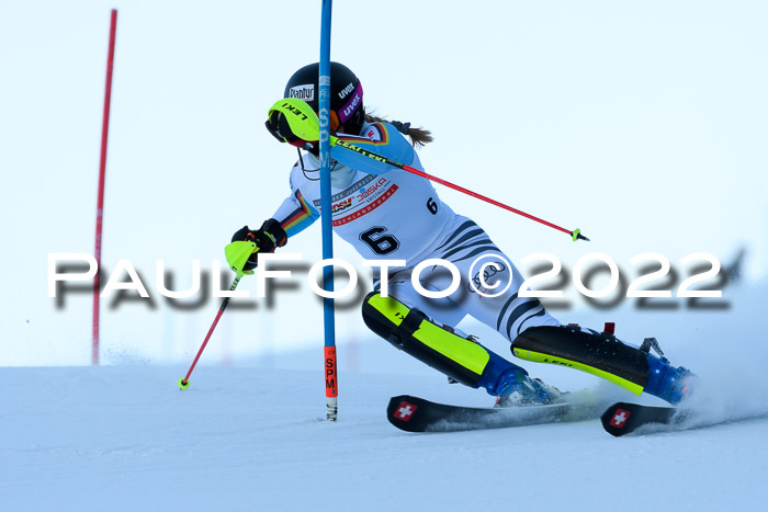 FIS AC NJC Damen + Herren Super-G