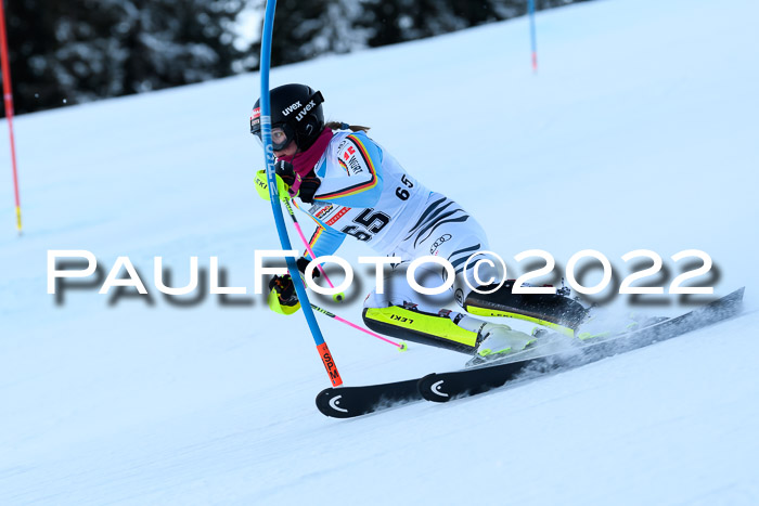 FIS AC NJC Damen + Herren Super-G