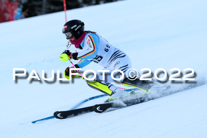 FIS AC NJC Damen + Herren Super-G