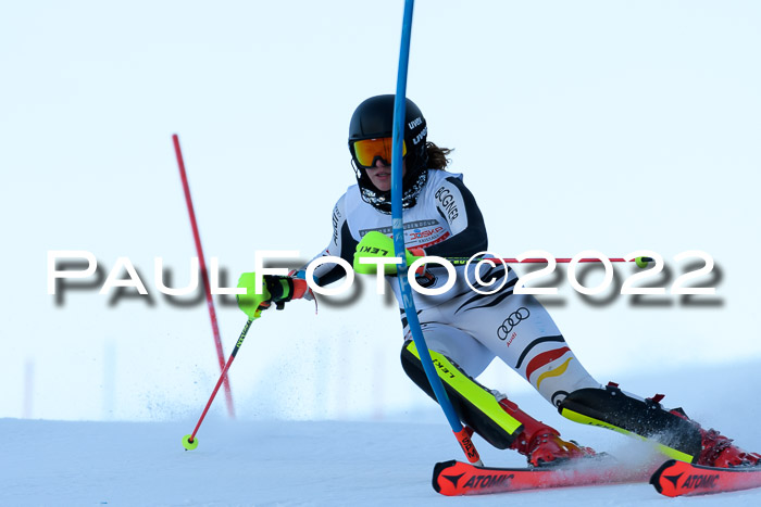 FIS AC NJC Damen + Herren Super-G