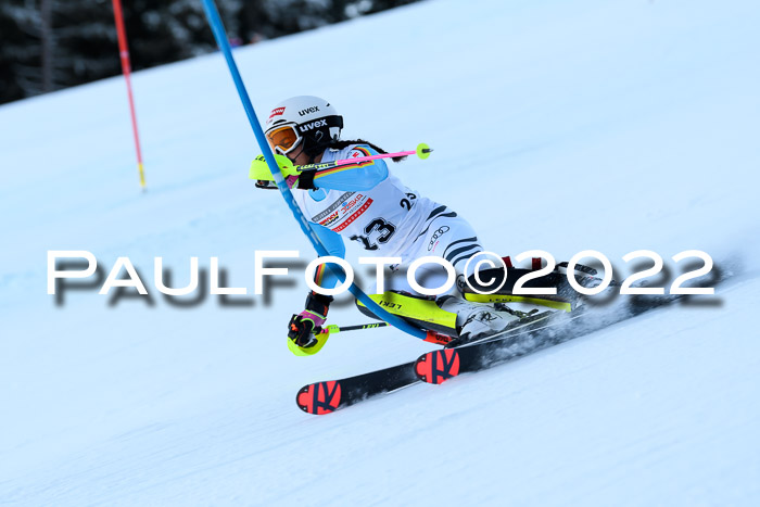 FIS AC NJC Damen + Herren Super-G