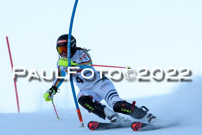 FIS AC NJC Damen + Herren Super-G