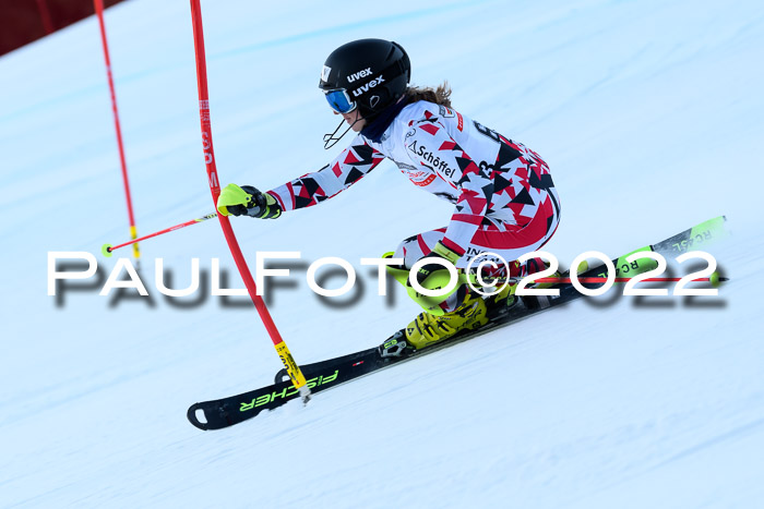 FIS AC NJC Damen + Herren Super-G