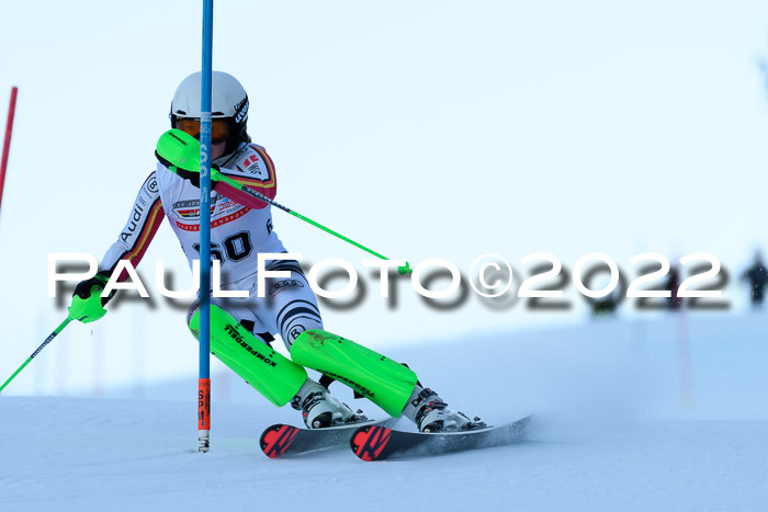 FIS AC NJC Damen + Herren Super-G