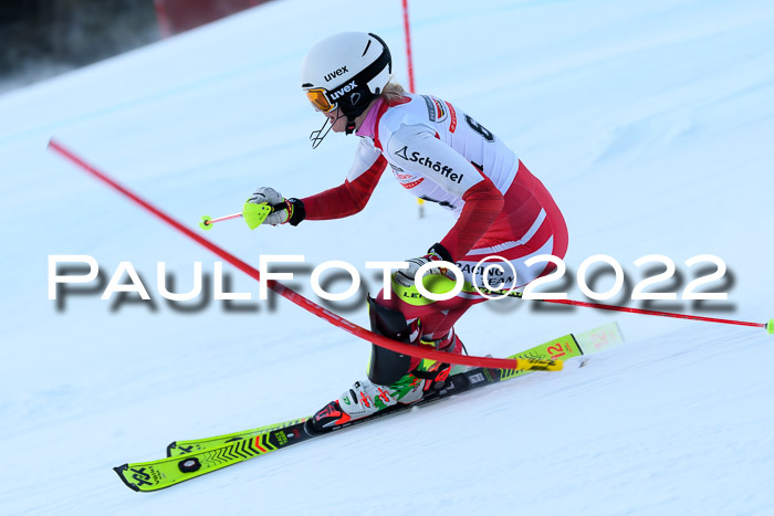 FIS AC NJC Damen + Herren Super-G