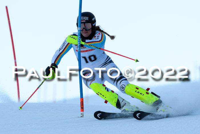 FIS AC NJC Damen + Herren Super-G