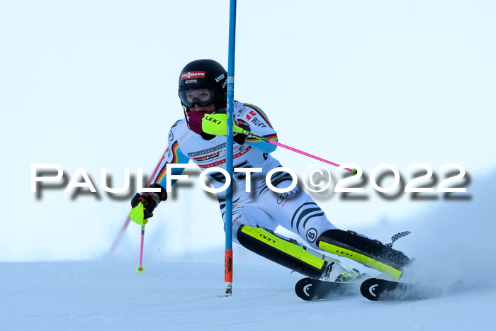 FIS AC NJC Damen + Herren Super-G