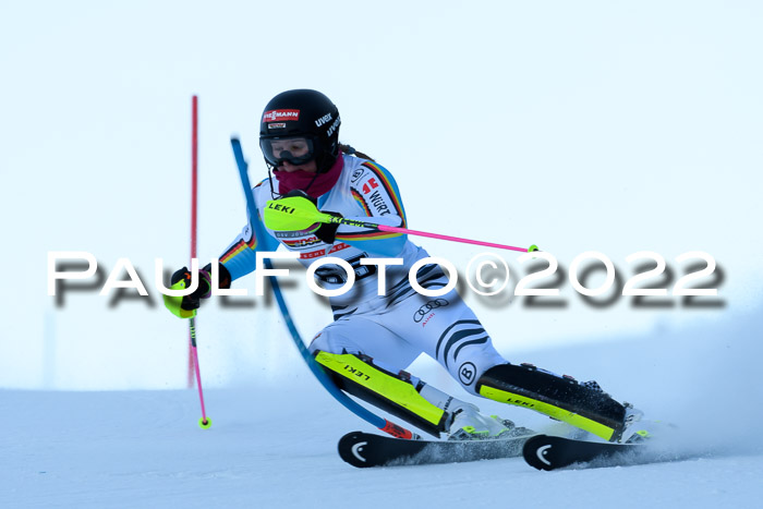 FIS AC NJC Damen + Herren Super-G