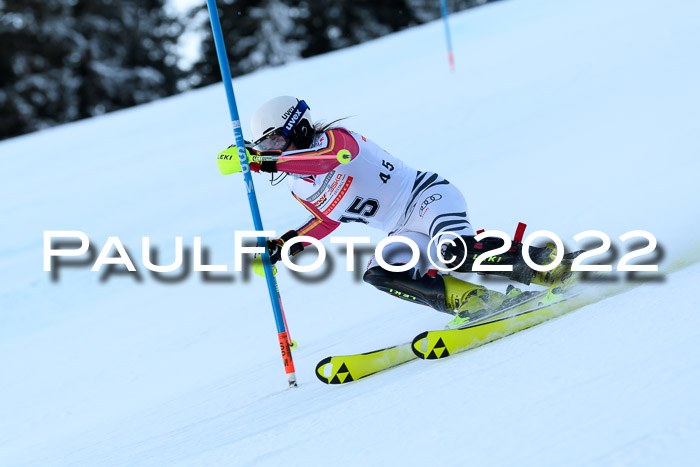 FIS AC NJC Damen + Herren Super-G