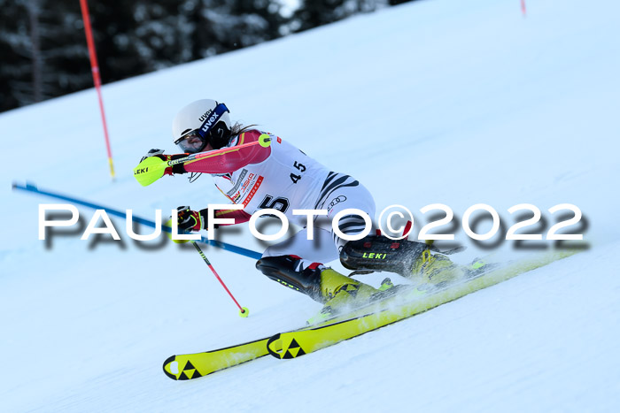 FIS AC NJC Damen + Herren Super-G