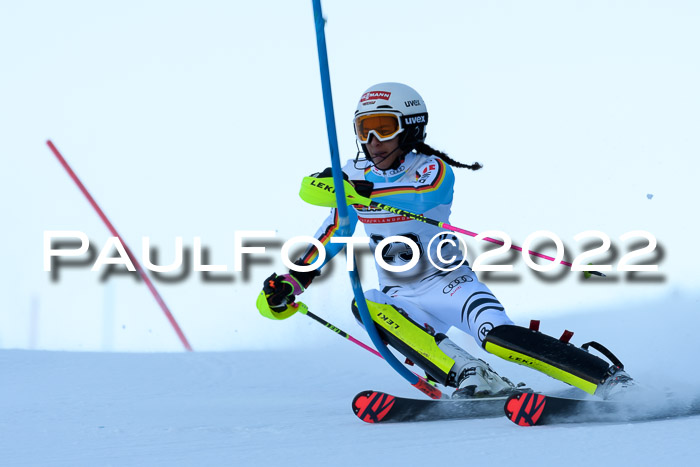 FIS AC NJC Damen + Herren Super-G