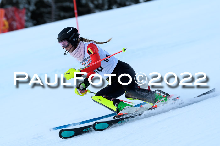 FIS AC NJC Damen + Herren Super-G