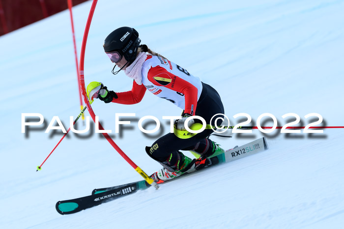 FIS AC NJC Damen + Herren Super-G