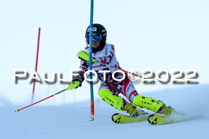 FIS AC NJC Damen + Herren Super-G