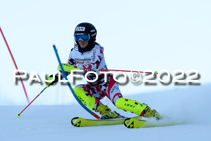 FIS AC NJC Damen + Herren Super-G