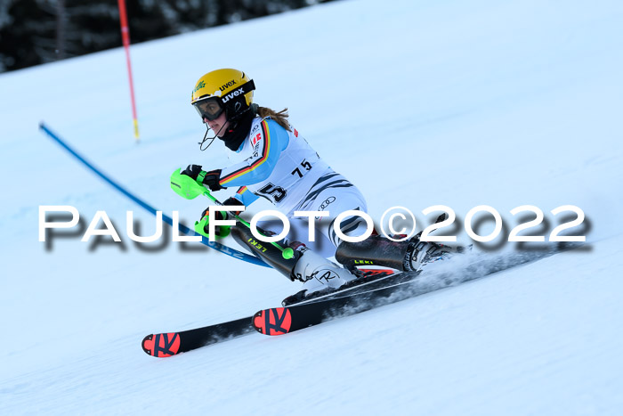 FIS AC NJC Damen + Herren Super-G