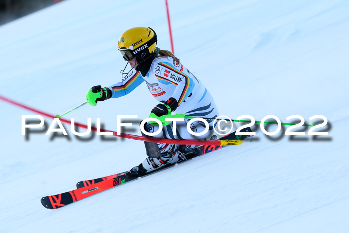 FIS AC NJC Damen + Herren Super-G