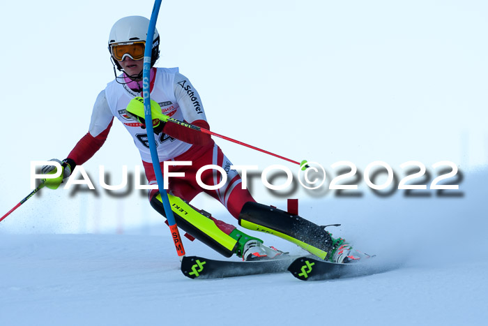 FIS AC NJC Damen + Herren Super-G