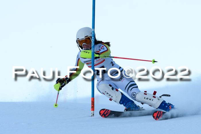 FIS AC NJC Damen + Herren Super-G