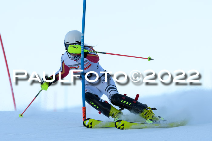 FIS AC NJC Damen + Herren Super-G