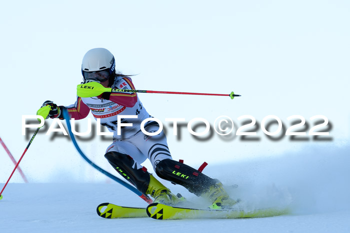 FIS AC NJC Damen + Herren Super-G